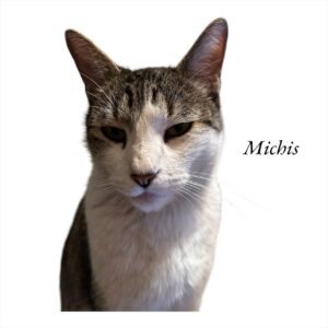Michis